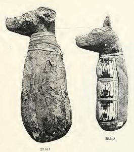 mummified dogs