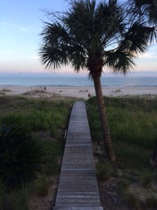 cape san blas view from beach